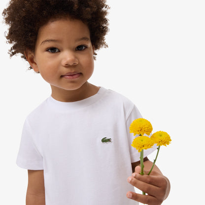 T-shirt Lacoste bambino