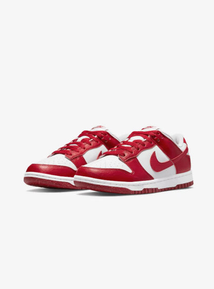 Scarpa Nike Dunk low next nature uomo